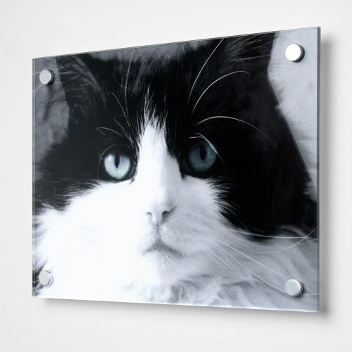 acrylic-print-01